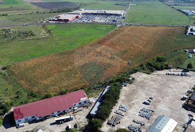 Teren Construcții intravilan de 6000 mp, în Nord-Est - 2