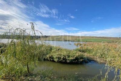 Casa 4 camere de vanzare in Campenesti - 3