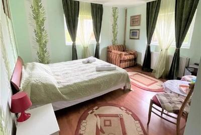 Pensiune complet utilată în Predeal, teren de tenis, garaj 4 mașini - 14