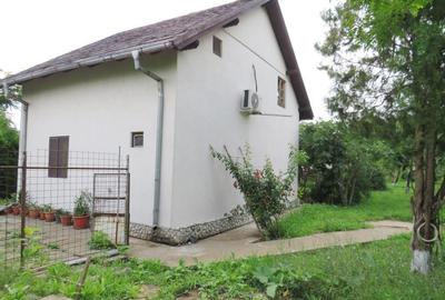 Vanzare 3 case moderne + 3 anexe si 2000 mp teren gradina, pomi in Tuzla la mare - 19