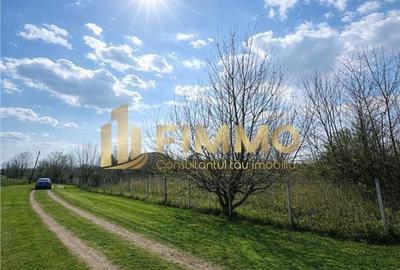 Spațiu comercial, în Cumpărătura - 2