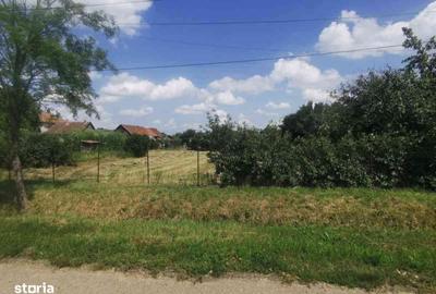 Casă cu 3 camere cu Teren 2000 Mp în Central - 3