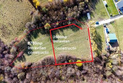 Teren Construcții intravilan de 2500 mp, în Tohănița - 4