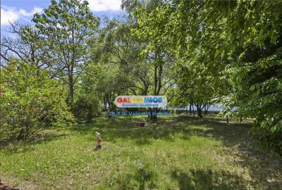 Vila Lacul TEI PETRICANI INSULA LAC 1900 MP TEREN - 11