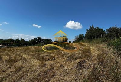 Casă individuală cu 3 camere cu Canalizare în Secuieni - 15