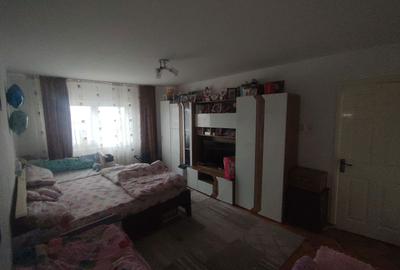 Apartament cu 2 camere decomandat în Teiu - 6