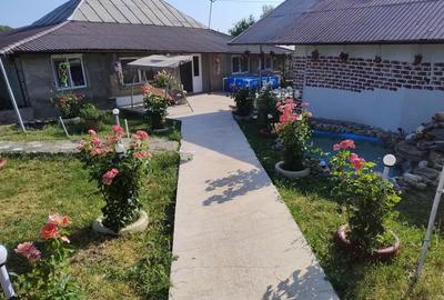 Casă cu 4 camere cu Teren 11000 Mp în Bobaița - 2