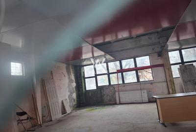 Spațiu industrial, de 320 mp, în Orlat - 2