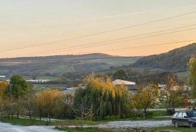Casa noua de vanzare Hidisel/Baile Felix sau schimb apartam Nufarul Casa noua de vanzare Hidisel/Baile Felix sau schimb apartam Nufarul - 18