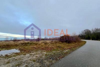 Teren extravilan 6.500 mp – două căi de acces, Cârțișoara - 2