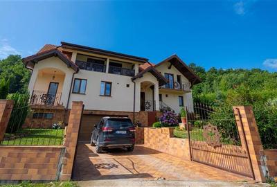 Casă cu 9 camere cu Teren 1750 Mp în Pestișu Mic - 14