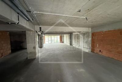 Spatiu Comecial 155 MP UTILI - 6