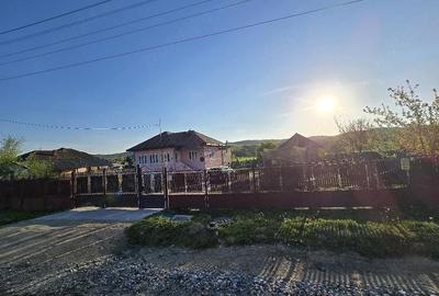 Casă cu Teren 4600 Mp în Tetoiu - 2