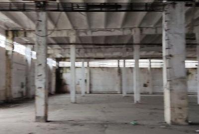 Hala ideal productie Oltenita - 3