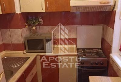 Apartament 2 camere , Pet Friendly, Sagului - 5
