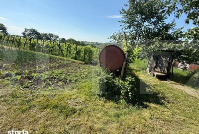 Casă cu 3 camere cu Teren 3095 Mp în Central - 1