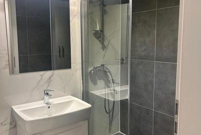Apartament cu 2 camere decomandat în Dumbrăvița - 14