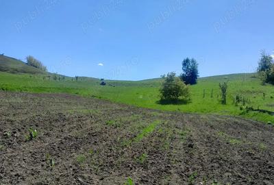 Vand casa in sat Hu?i ,com.Preute?ti,jud.Suceava - 5