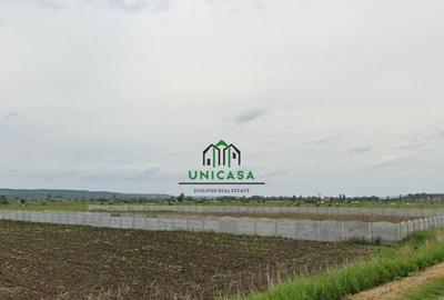 Teren Zona industriala / 5000mp - 1