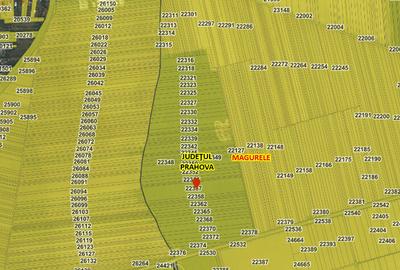 Teren agricol 2.5ha, Magurele - 2