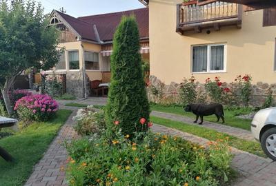 CASĂ DE VÂNZARE BORSEC 125mp + Teren 1.200mp - 3