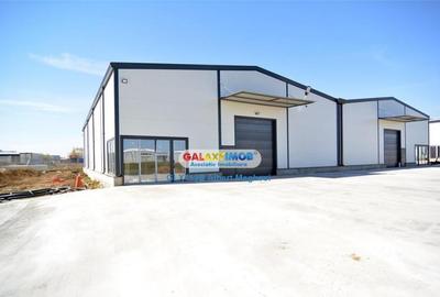 Hala Depozitare 565 mp Afumati - 6