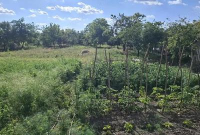 Casa 5 camere cu teren generos in Seitin judetul Arad - 8