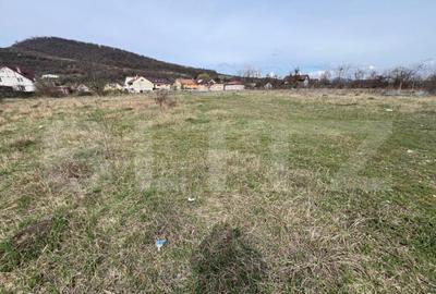 Teren Intravilan de vanzare, 4400 mp, zona Viisoara - 1