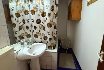 Apartament cu 2 camere decomandat în Lacul Tei - 9