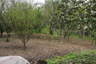 Magurele, teren, zona Cargus, 34 mp deschidere, 30 euro mp, ocazie! Magurele, teren, zona Cargus, 34 mp deschidere, 30 euro mp, ocazie! - 5