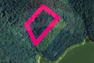 Teren forestier langa lacul Cincis, jud Hunedoara - 3