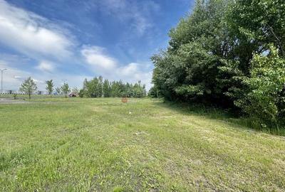 Teren Construcții intravilan de 13566 mp, în Bartolomeu - 5