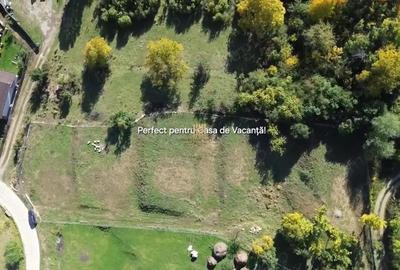 Teren de 3500 mp, în Cacica - 4