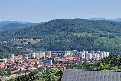 Resita Terenuri Urbane Intravilane Cartier Francez, 450mp, 600mp, 714mp, 736mp,si 1037mp - 6