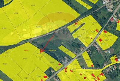 Teren de vanzare in Corpadea! 1000 MP - 3