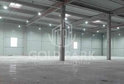 Spatiu Industrial -Zona Autostrazii A3 -10.000 mp Hala Depozitare - 2