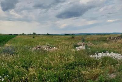 Oportunitate de Investitie!!! - 4