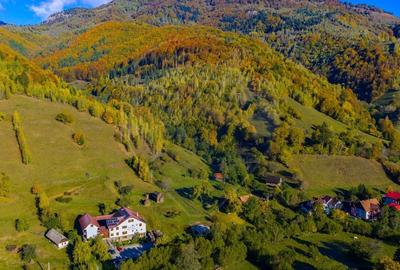 COMISION 0% Teren 11,381 mp Moieciu de Jos / Oportunitate unica - 1