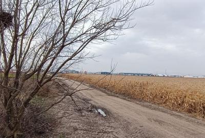 Teren intravilan industrial,str.Durau - 7