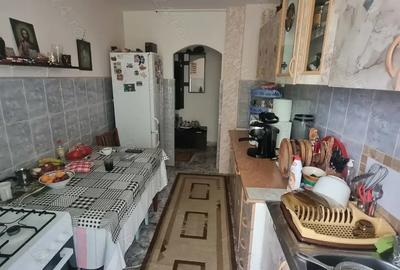 Apartament cu doua camere pentru iubitorii de natura - 8