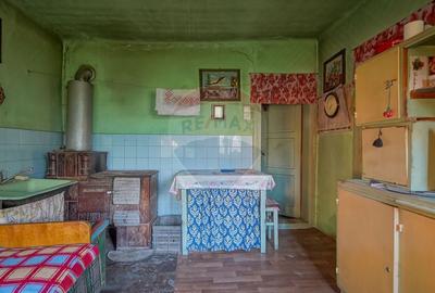 Liniste, aer curat si pamant bun - 7255 mp in Vama Buzaului - 13