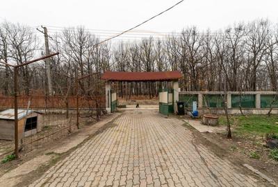 0% Comision !!  CASA CU   LAC SI PRIVELISTE  SUPERBA SPRE PADURE - 6