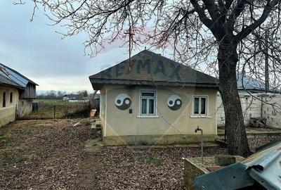 Casa cu 3 camere de vanzare