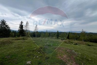 Teren extravilan parcelabil Calatele Padure, zona Dealu Negru - 1