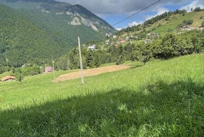 Teren de 1432 mp, în Măgura - 3