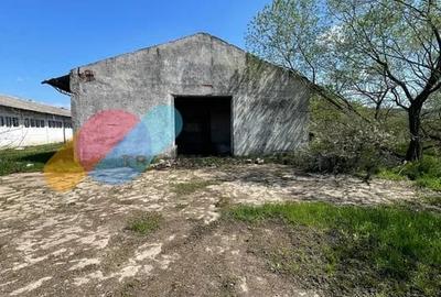 Teren Construcții intravilan de 16382 mp, în Mihăiești - 9