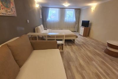 Garsonieră decomandată, mobilată în Centrul Istoric - 7