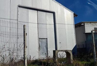 Sinesti -hala productie depozitare suprafata 1350 mp - 6