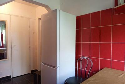 Apartament cu 2 camere semidecomandat în Gojdu