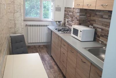 Apartament cu 2 camere decomandat în Sârbi - 1